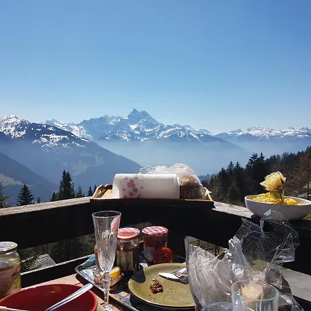 Top Of The World Chalet With Awesome Dents Du Midi View Fireplace 3 Bedrooms Ski In Ski Out Too Chalet