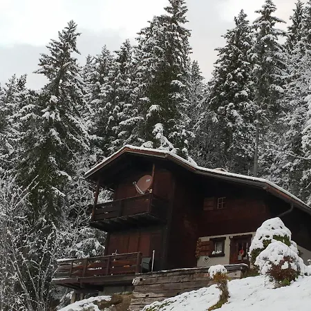 Top Of The World Chalet With Awesome Dents Du Midi View Fireplace 3 Bedrooms Ski In Ski Out Too Chalet Gryon