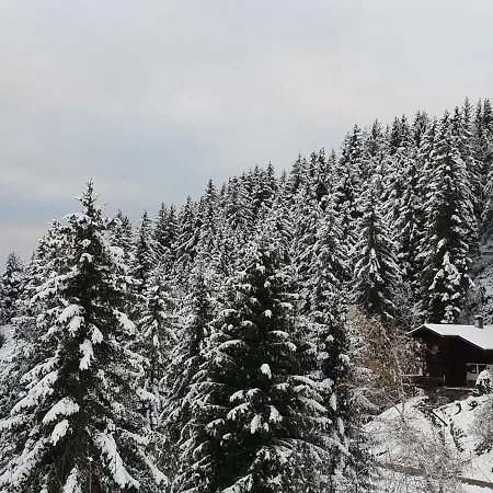 Top Of The World Chalet With Awesome Dents Du Midi View Fireplace 3 Bedrooms Ski In Ski Out Too