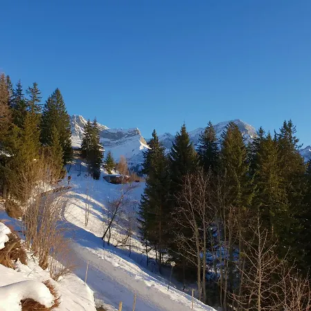 Top Of The World Chalet With Awesome Dents Du Midi View Fireplace 3 Bedrooms Ski In Ski Out Too * Gryon