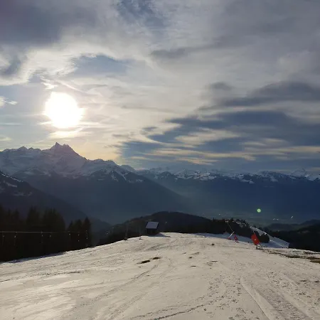 Top Of The World Chalet With Awesome Dents Du Midi View Fireplace 3 Bedrooms Ski In Ski Out Too * Gryon